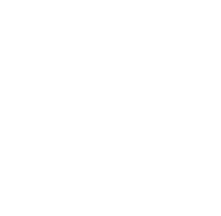 Kinizsi Group