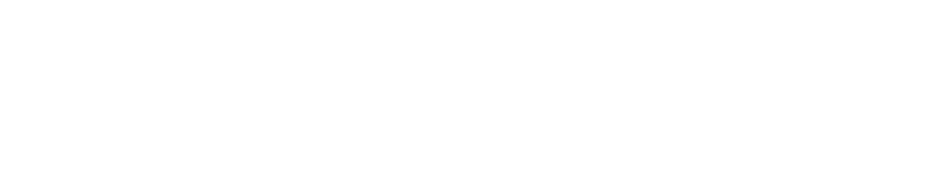 Kinizsi Group